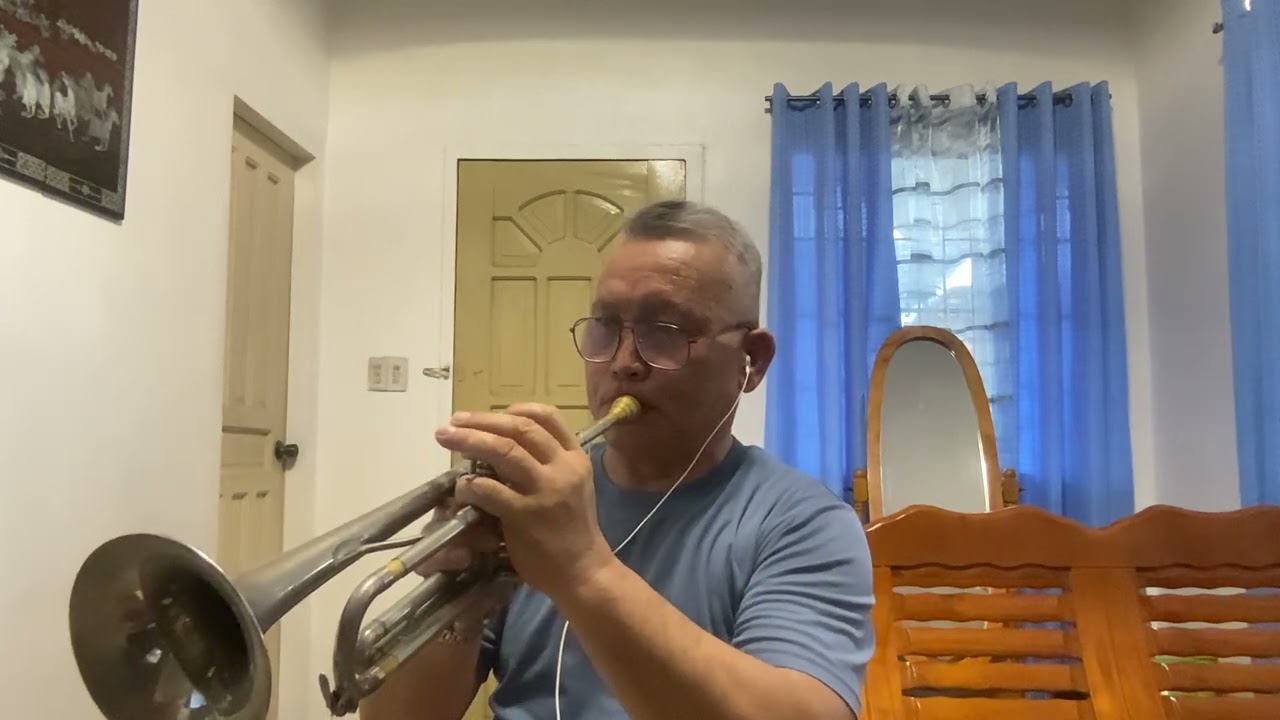 I MADE IT THROUGH THE RAIN - Barry Manilow  (Trumpet) cover