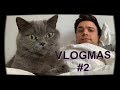 Queen of sheba  vlogmas 2