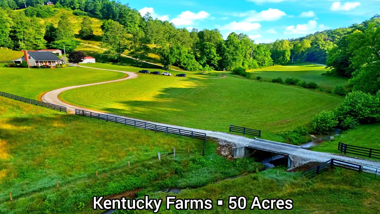 Kentucky Farms For Sale | 50 Acres | Kentucky Land For Sale | BnB Cabin ...