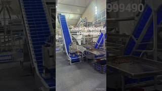 cashew scooping line ,cashew processing machine #cashewprocessingmachine #machine #cashew