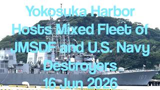 Yokosuka Harbor Hosts Mixed Fleet of JMSDF and U S  Navy Destroyers 20260616 #yokosuka #jmsdf #usn