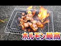 １１２９いい肉の日に最高の美味いホルモンで食べ放題！