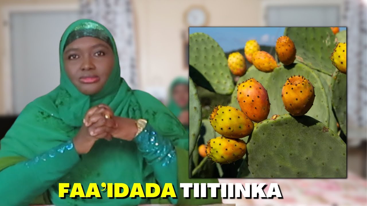 TIITIINKA IYO WAXTARKIISA KAFAAIDEEYSO!