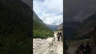 Gangotri Base camp to Chirbasa | Day 1 of GaumukhTapovan Trek | June 2026 | Trek with @Indiahikes