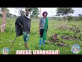 NATULU X NDAMA JIGUSHILAGA KIKUNDI CHA MWENDO KASI 0680713693 2026 BY SHULE MSABAZAJI 