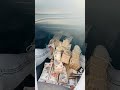 المال الحلال اهو المال الحلال اهو