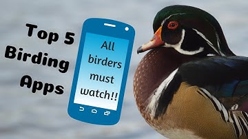 Top 5 Bird Watching Apps