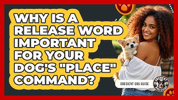 Why Is A Release Word Important For Your Dog