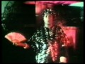 BackFlash Video Thursday: Sylvester