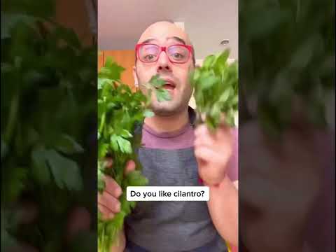 Video: Pikantní rostliny koriandru – chutná váš koriandr jako mýdlo