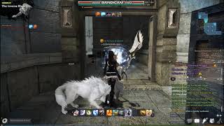 Vindictus Raid Run & Dungeon Run