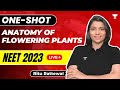 Anatomy of Flowering Plants | One-Shot | NEET 2023 | Ritu Rattewal