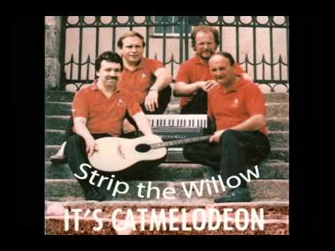 Catmelodeon - Strip the Willow (live)