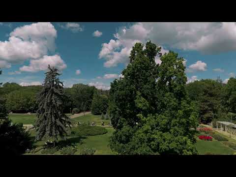 Margitsziget, Rózsakert Drón, Budapest, Magyarország, 1.rész - Drón(teljes), 2026.06.12.