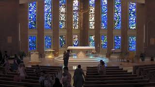 Seven Holy Founders Affton Live Stream
