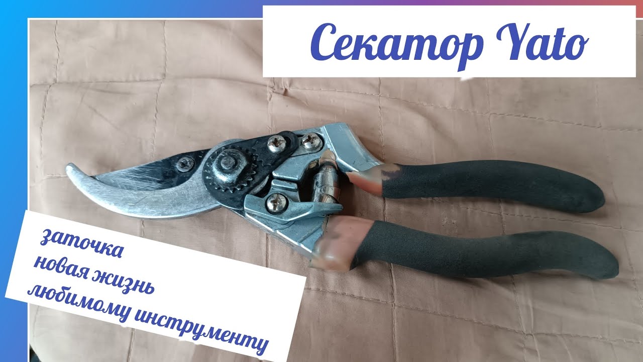 Заточка секатора, залипательный процесс. Дарим вторую жизнь секатору ...