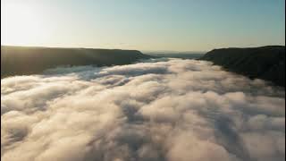 Never Falling Amander Sings (7 Minutes)