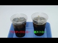 紙ストローをコップ(フタ付き)の炭酸飲料に使用した動画【プラスチックストローとの比較】