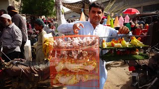 Birds Market Lalukhet Sunday Video Latest Update 28-5-23 in Urdu\/Hindi