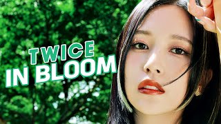 TWICE AI Cover｜In Bloom (by ZEROBASEONE) Resimi