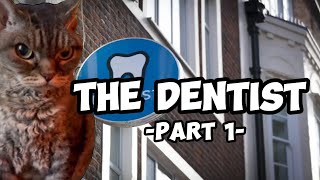 CAT MEMES: RETURN TO THE DENTIST PT.1 by OhCrayZ 19,243 views 2 weeks ago 4 minutes, 17 seconds