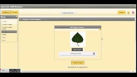 CBIR system using matlab and JSF