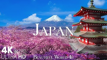 Thumbnail of Japan 4K - A Stunning Visual Tour of Cherry Blossom Season and More - Calming Music