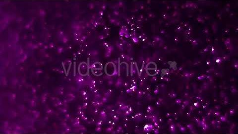 Purple Background | Motion Graphics - Envato elements
