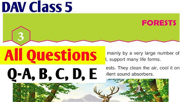 🌲Forests Question Answer|DAV Class 5 Science Chapter 3 Solution|Study With Deep|