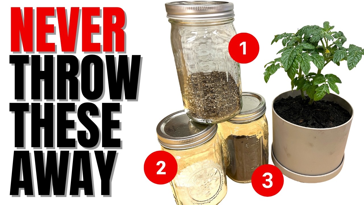 MIRACULOUS GARDEN MIX Made With 3 Items Everyone Throws In The Trash