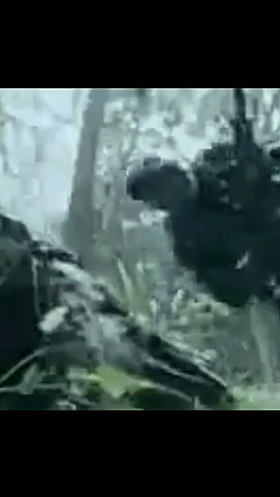 Penyelamatan Sniper Hantu Rimba dari kepungan KKB. (tonton di video reguler)