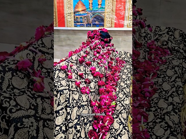 Ham Log Mar Gye Tere Marne Se Ya Ali a.s #ghaziyouth #noha #ayyameali #ytshortsindia #viralnoha