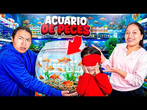 GIFT FOR OUR DAUGHTER | Araceli LM Ft. David Otavalo