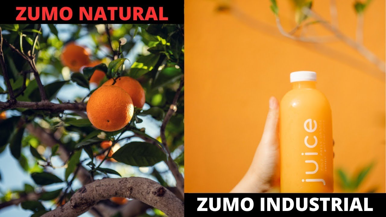 CÓMO se HACE el ZUMO de NARANJA INDUSTRIAL | ZUMO INDUSTRIAL VS ZUMO