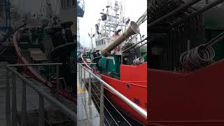 BARCO PESQUERO BAJURA. GETARIA. ARRANTZONTZIA. GIPUZKOA. FISHSHIP. #viral #waves #trending #nature