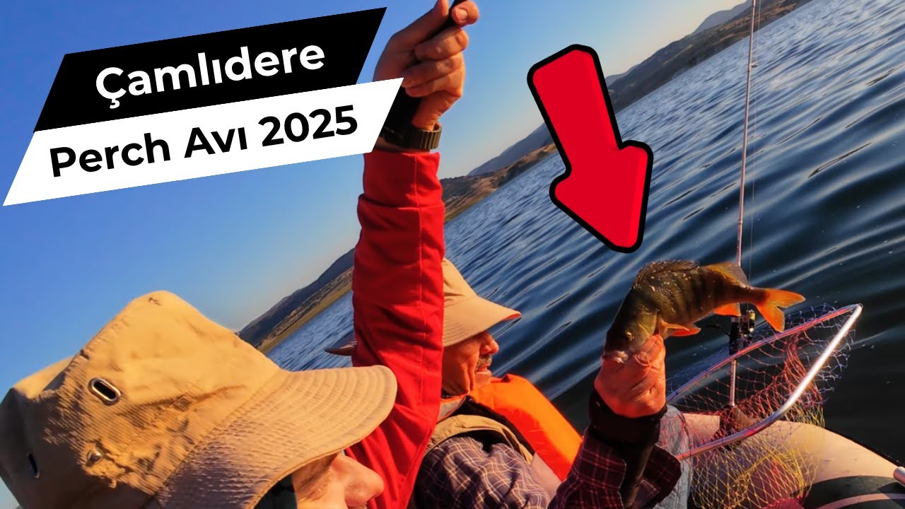 Çamlıdere Perch Avı 2025