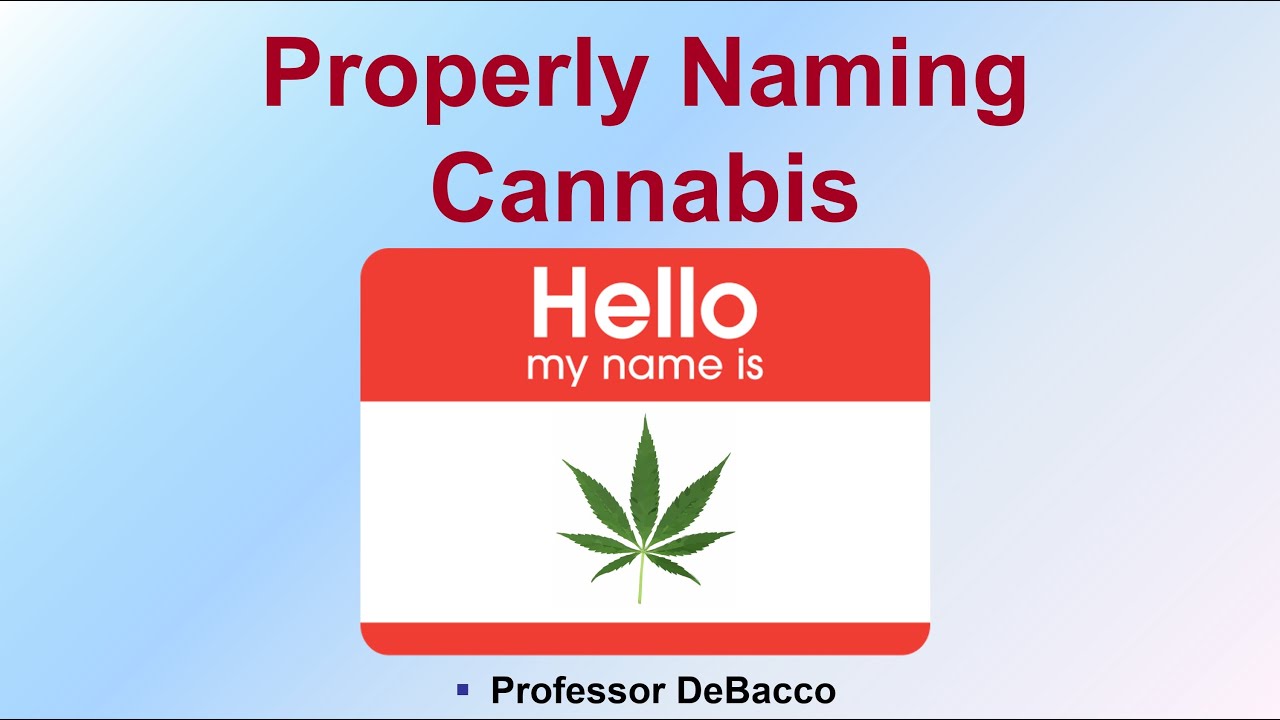 Properly Naming Cannabis YouTube