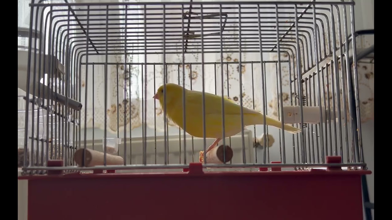 Waterslager love one 