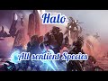 Halo  all known sentient life