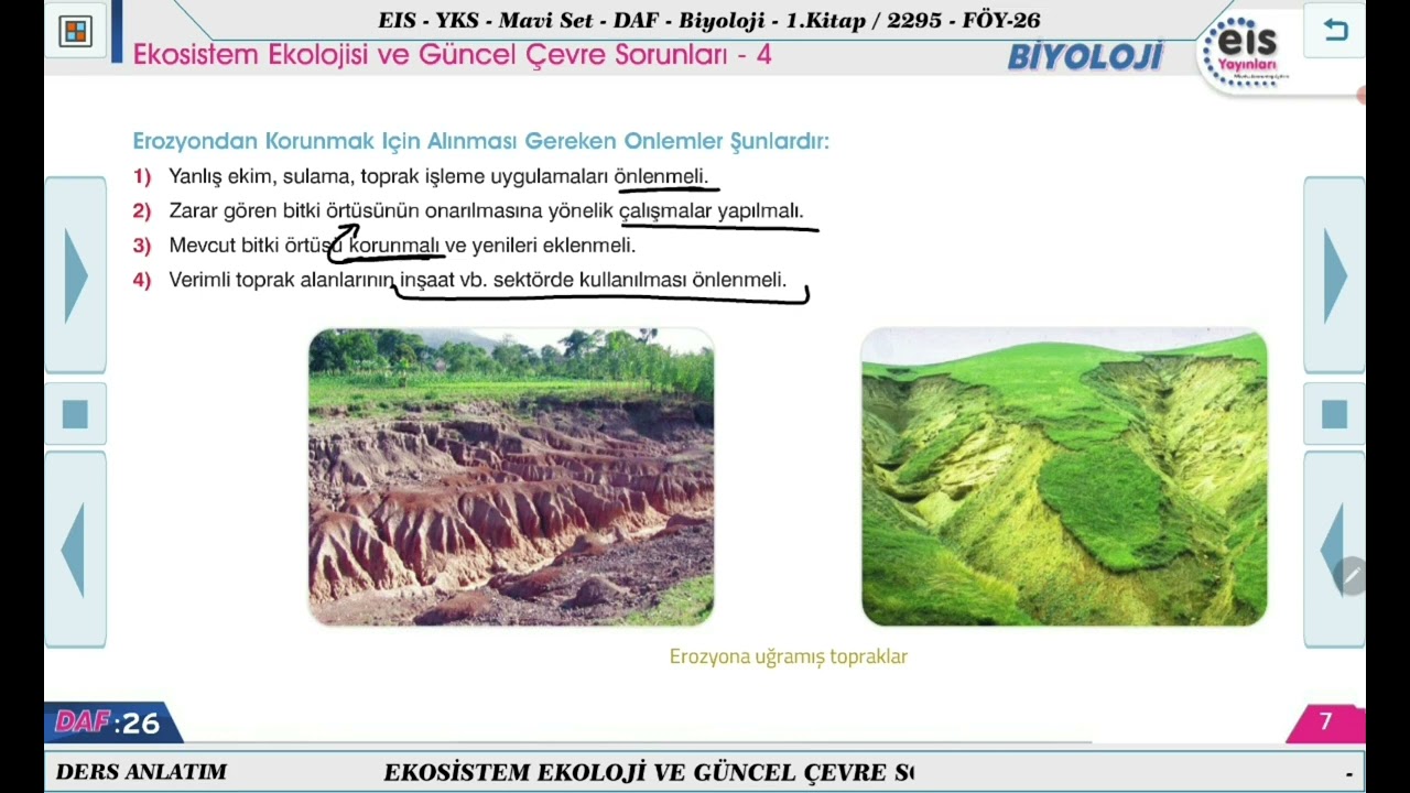 Mavi Set Biyoloji 1 - Ekosistem Ekolojisi ve Güncel Çevre Sorunları - 4 🔬