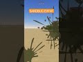 NEW SANDBUG EVENT IN A DUSTY TRIP UPDATE #roblox