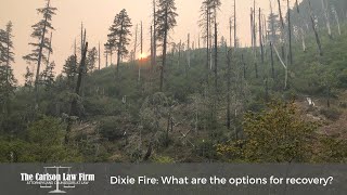 Dixie Fire: What are the Options for Recovery? | The Carlson Law Firm