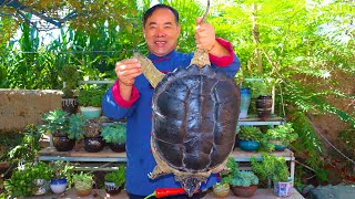 Huge Snapping Turtle on Teppanyaki! The most Delicious Meat! So Fragrant | Uncle Rural Gourmet