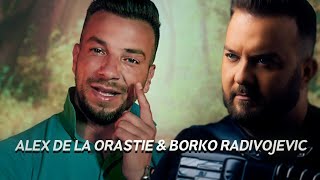 Alex de la Orastie & Borko Radivojevic - Ochii tai sa vada chords