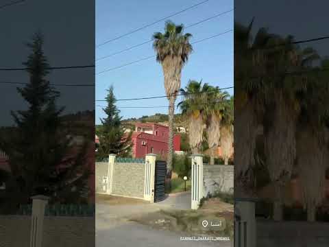 شدينا طريق لجبل تما ان شاء الله نودوزو العيد