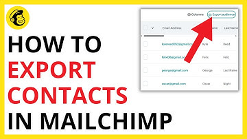How to Export Contacts in Mailchimp [QUICK GUIDE]