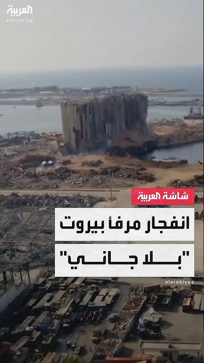              
 - نشر قبل 3 ساعة