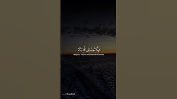 لا تهرب من القرآن الكريم