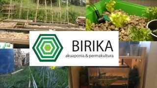 ¡¡Bienvenidos al canal de Birika!!