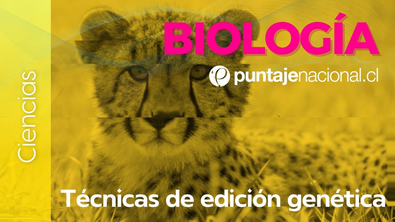 PAES | Biología | Técnicas de edición genética